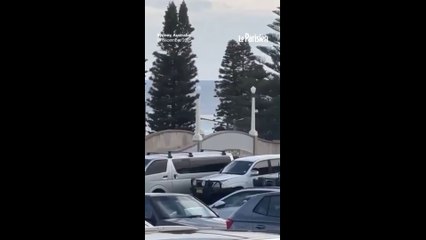 Fusillade en Australie : au moins 12 morts dont un des deux tireurs