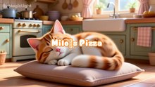 cat making a pizza