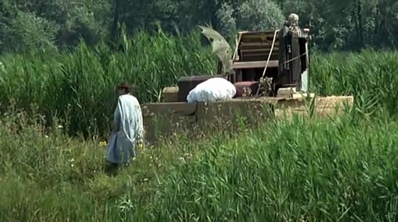 LE STRELLE NEL FOSSO    (Pupi Avati; Fantastico; 1979)