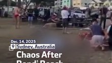 Chaos After Bondi Beach Shooting