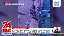 Asong nakapatay umano ng manok, pinagpapalo hanggang sa mamatay | 24 Oras Weekend