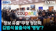 '정보 유출' 쿠팡 청문회...김범석 불출석에 '맹탕'? / YTN