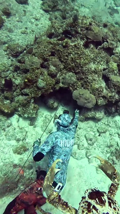 Crab attacked