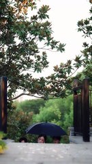 Not Your Victim This Time