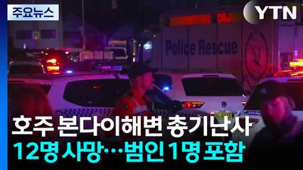 시드니 본다이 해변 총기 테러로 11명 사망...용의자 1명 사살 / YTN