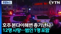 시드니 본다이 해변 총기 테러로 11명 사망...용의자 1명 사살 / YTN