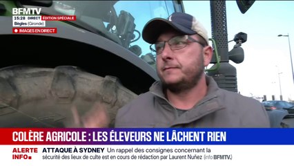 "Il faut arrêter d'euthanasier les vaches", martèle un agriculteur en Gironde