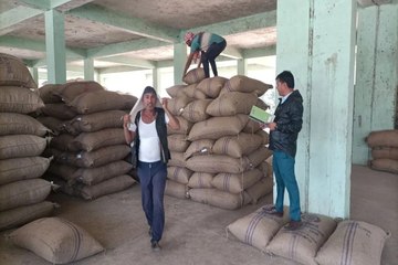 एमएसपी कागजों में, बाजार में औने-पौने दाम: बस्सी-चाकसू में मूंगफली खरीद ठप