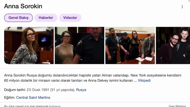 Inventing Anna... Anna Delvey (Anna Sorokin) Kimdir Inventing Anna Gerçek mi