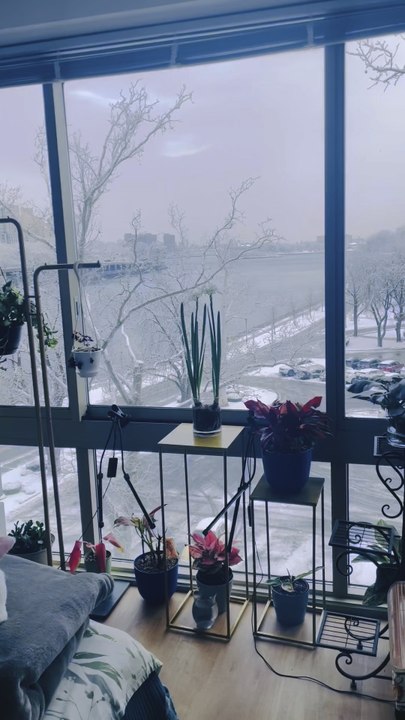 The first snow of the winter in Manhattan in 2025 was captured as a landscape at Nelson Wang's home. 12/14/2025 at The Octagon of Roosevelt Island, New York City.