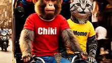 Funny Monkey & Cat Driving Indian Rickshaw 🛺 | Viral Animal Comedy