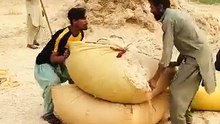 wait for end 😂 _funny _funnyclip _nadeemgujjar _funnymovie _shortfeed🤪(360P)