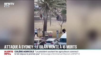 Fusillade à Sydney: le bilan provisoire s'alourdit à au moins 16 morts et 40 blessés