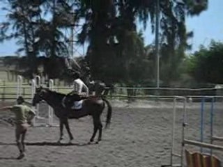 Séance d'obstacle avec Olivier Navarro.