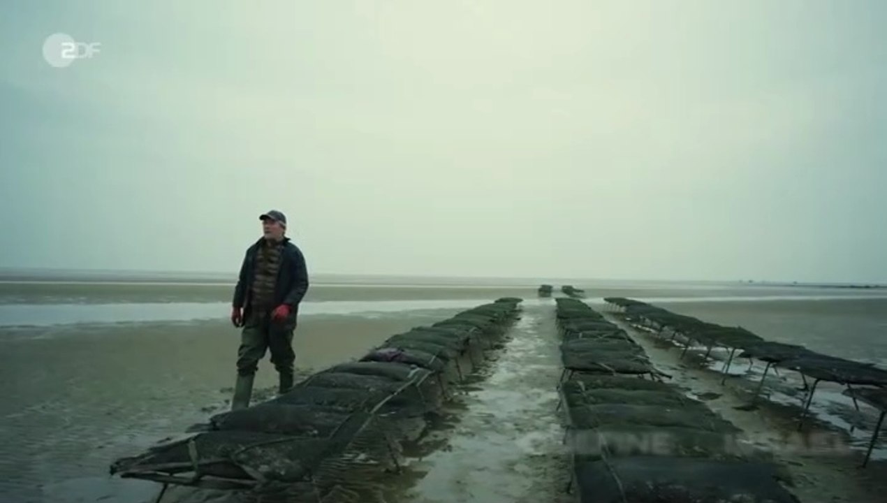 Nord Nord Mord -27- Sievers und die stillen Austern