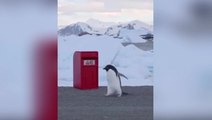 King sends post box to British scientists working in Antarctica in time for Christmas