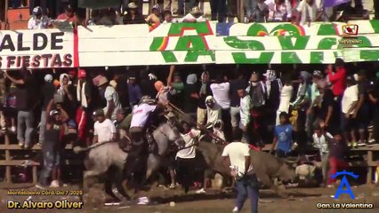 Corralejas Montelíbano 2025 | Toros de Álvaro Oliver