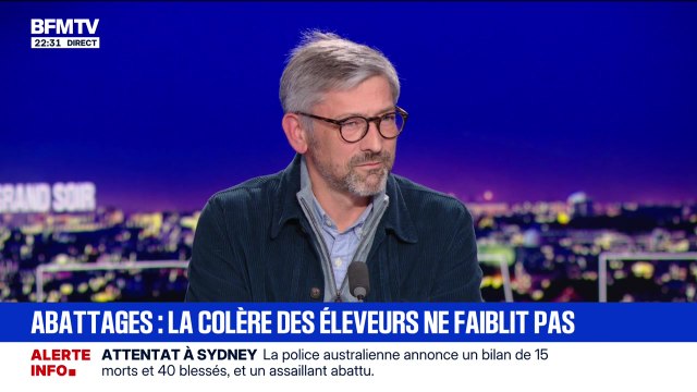 Abattages : la colère des éleveurs ne faiblit pas - 14/12