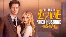 Falling In Love With My Ex Husband Again
