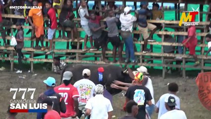 Corralejas Malagana 2025 | Toros de Luis C. Oviedo