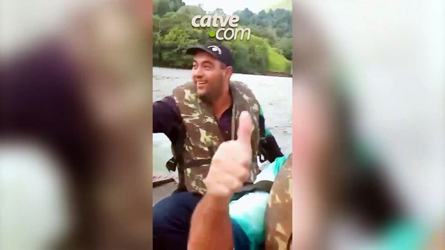Vídeo: onças-pardas são flagradas nadando no Rio Iguaçu, no sudoeste do Paraná