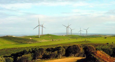 Decommissioning of Codrington Wind Farm, the first.