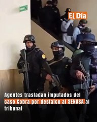 Agentes trasladan imputados del caso Cobra por desfalco al SENASA al tribunal