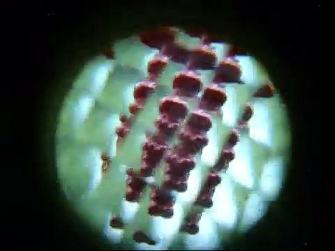 WOW! Garbage Pail Kids Cheap Toys Adam Bomb Rave Party Wall Projection ~ Fun, Techno, Mini Figures