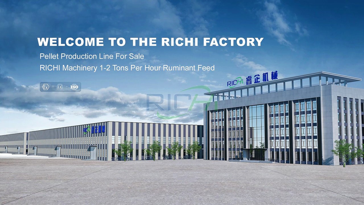 1–2 T/H Ruminant Pellet Production Line for Efficient Feed Processing