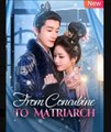 From Concubine to Matriarch Chinese Drama - English Sub
