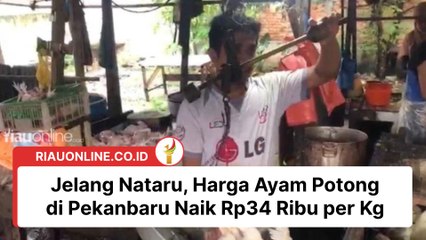 Jelang Nataru, Harga Ayam Potong di Pekanbaru Naik Rp34 Ribu per Kg