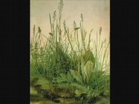 Nature boy - Mantovani [DECCA] 78rpm