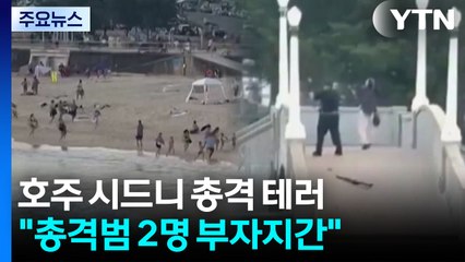 시드니 본다이 해변 총격 테러 16명 사망..."총격범 2명 부자지간" / YTN