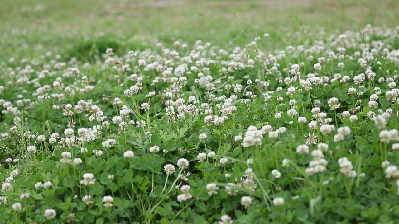 Day21 - 30 Days New You Challenge Malayalam