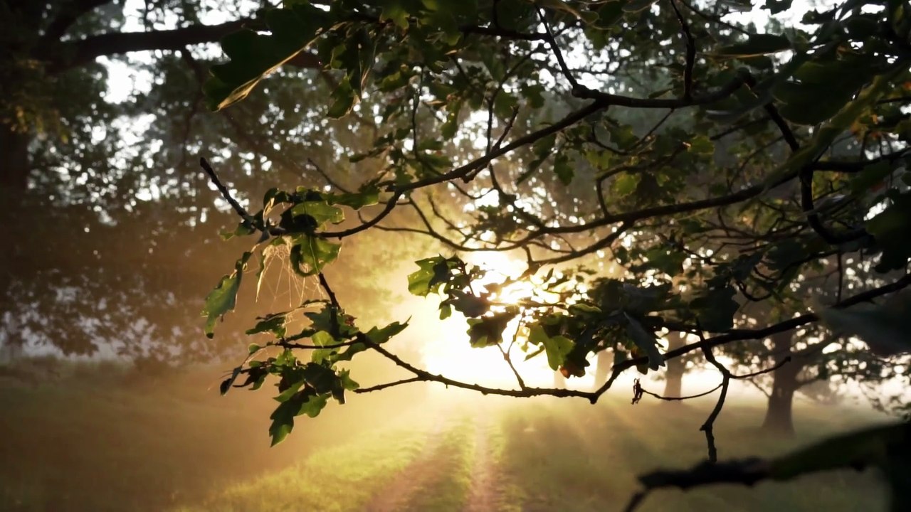 Day27 - 30 Days New You Challenge Malayalam