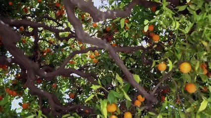 Sandis Great Riviera Rail Trip S1 Episode 3 Engsub