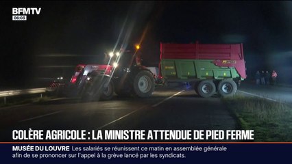 Les agriculteurs, opposés contre l'abattage systématique des troupeaux en cas de dermatose nodulaire, toujours mobilisés dans le Sud-Ouest