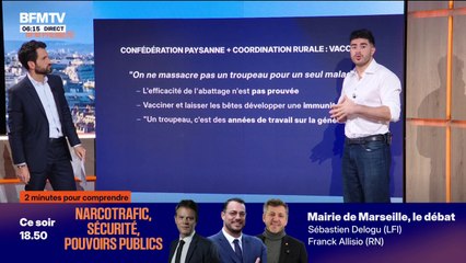 2 MINUTES POUR COMPRENDRE - Foyers détectés, abattage, vaccination.. Quelle stratégie face à la dermatose nodulaire contagieuse?