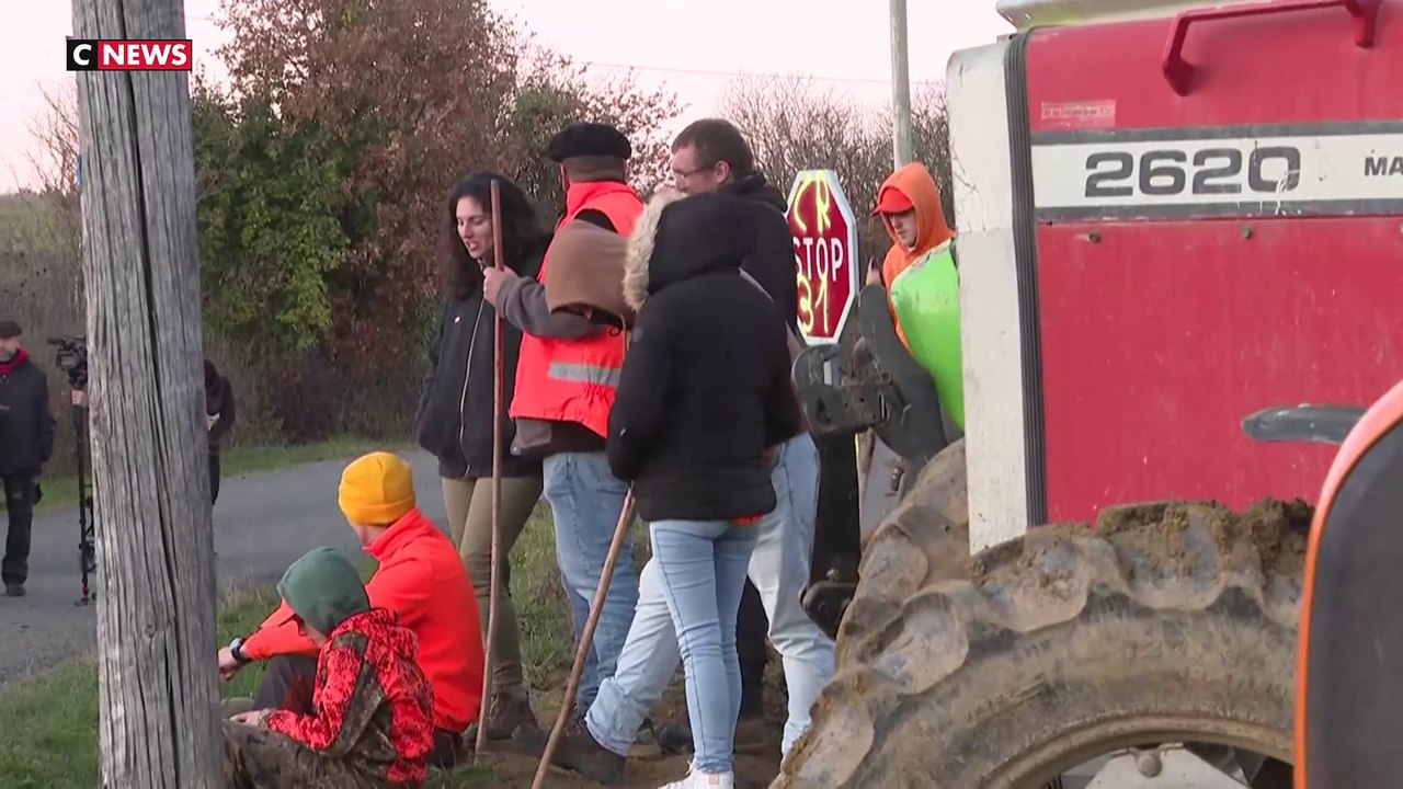 La ministre de l'Agriculture assiste à la vaccination de troupeaux