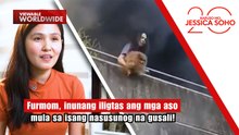 Furmom, inunang iligtas ang mga aso mula sa isang nasusunog na gusali! | Kapuso Mo, Jessica Soho