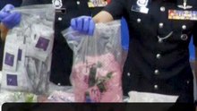Police nab three, seize drugs worth RM10.4mil