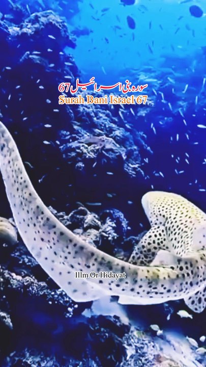 When Trouble Strikes at Sea, Only Allah Is Called