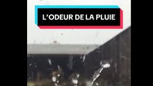 L'odeur de la pluie