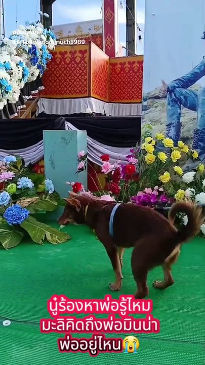 มะลิ มาส่งพ่อวันสุดท้าย ในพิธีพระราชทานเพลิงศพ จ.ส.อ.อนันดา อุดร