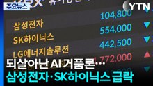 되살아난 AI 거품론...삼성전자·SK하이닉스 급락 / YTN