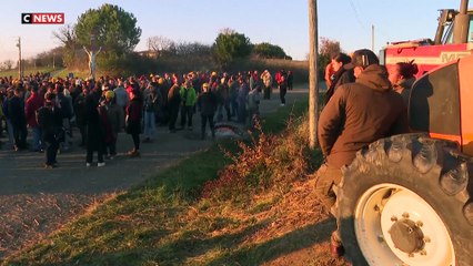 La ministre de l'Agriculture assiste à la vaccination de troupeaux
