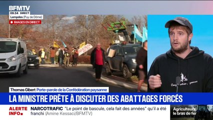 Dermatose nodulaire: "Pour nous, ce n'est plus une crise sanitaire, c'est une crise politique", affirme Thomas Gibert (Confédération paysanne)