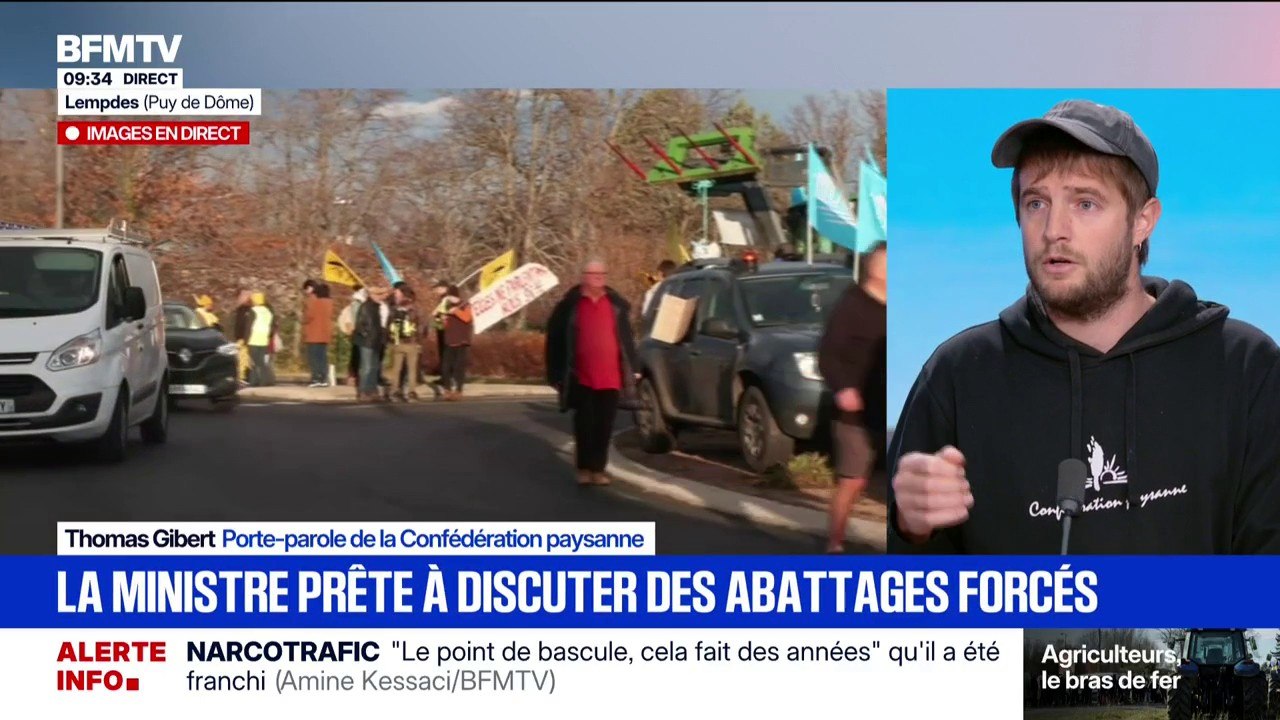 Dermatose nodulaire: "Pour nous, ce n'est plus une crise sanitaire, c'est une crise politique", affirme Thomas Gibert (Confédération paysanne)