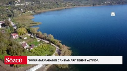 "Doğu Marmara'nın can damarı" tehdit altında