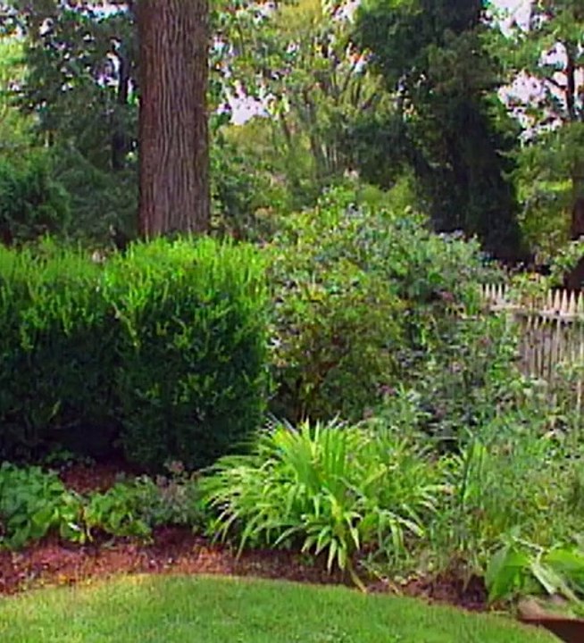 Ground Up Services - Garden Maintenance Services